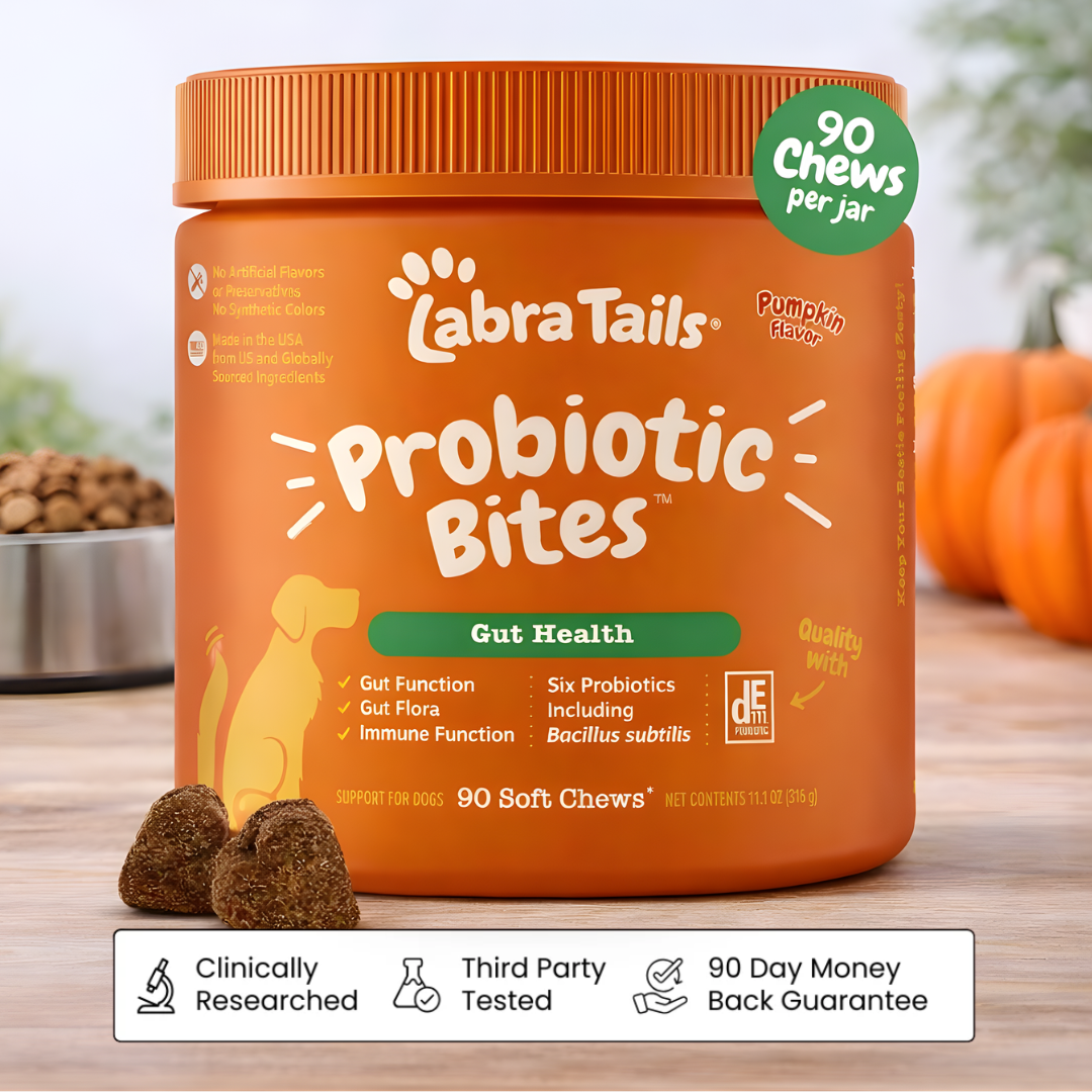 Premium Dog Probiotics Chews™