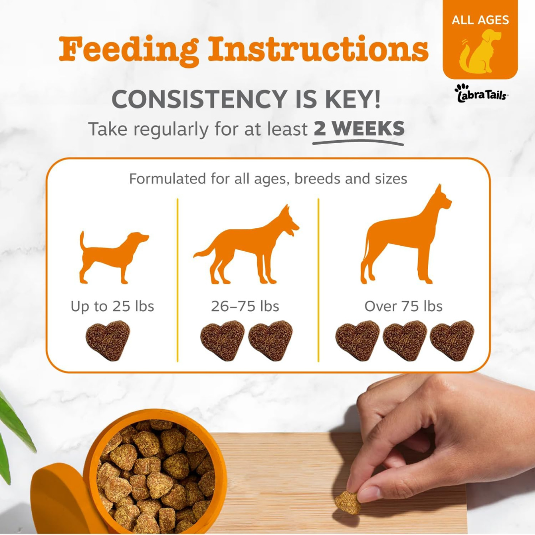 Premium Dog Probiotics Chews™