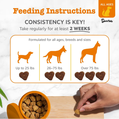 Premium Dog Probiotics Chews™