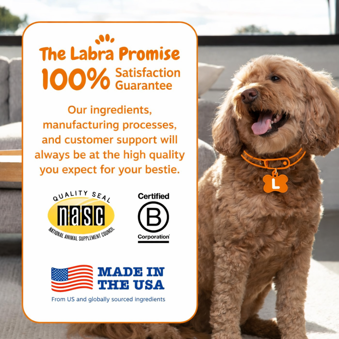 Premium Dog Probiotics Chews™