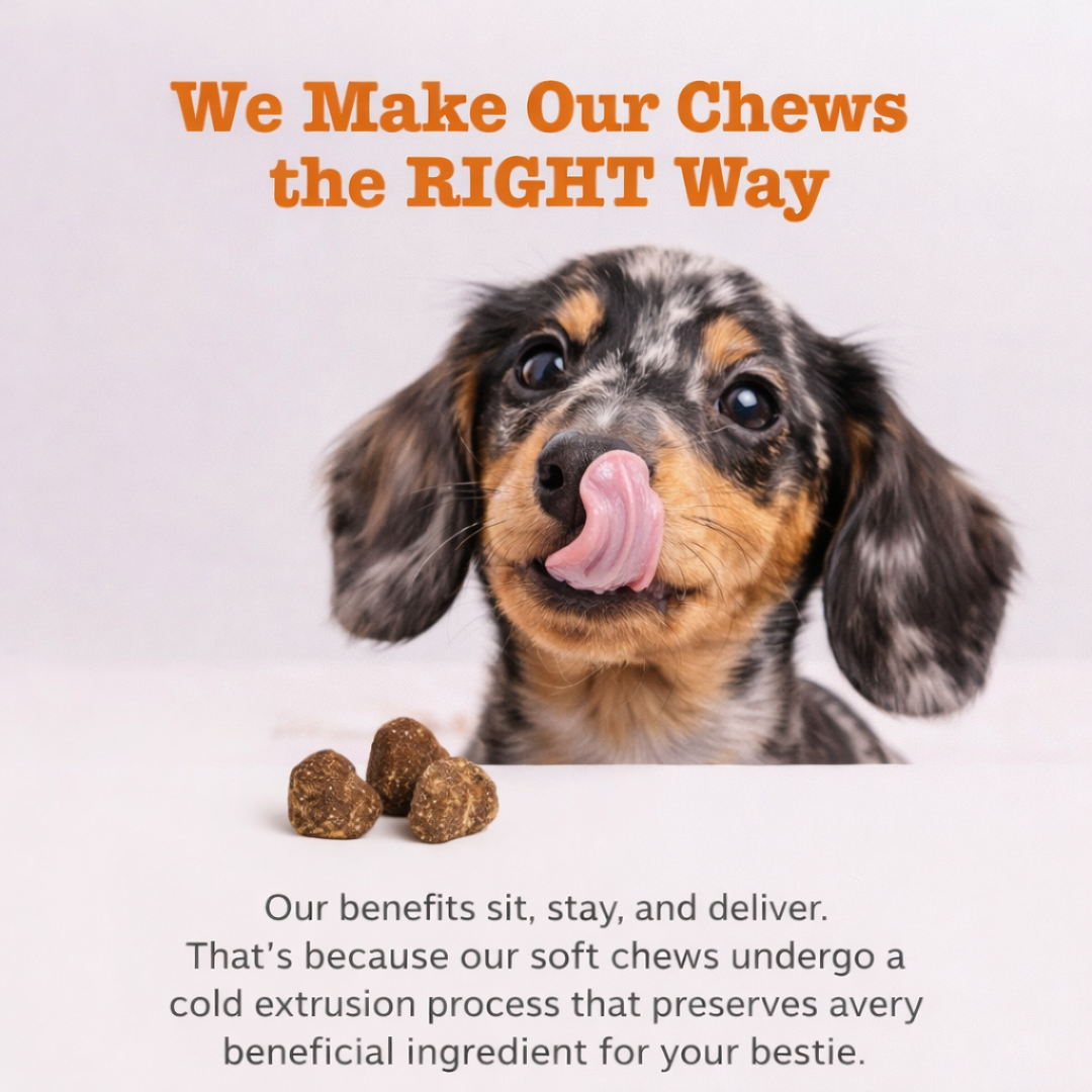 Premium Dog Probiotics Chews™