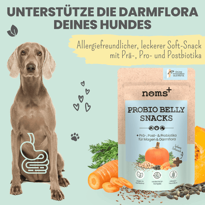 Probio Belly Snacks for Dogs with BIOTICS³ Complex