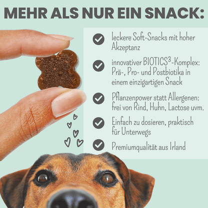 Probio Belly Snacks for Dogs with BIOTICS³ Complex