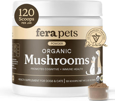 Premium Mushroom Wellness Blend™ (Copy)