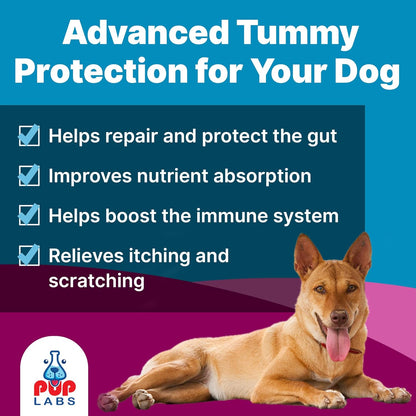 VL Belly Bliss™ Gut Health For Dogs - Vet Approved Prebiotic