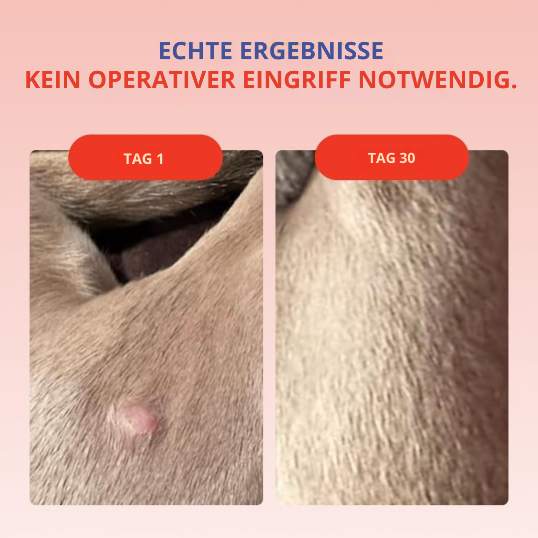 Probiotische Formel für Welpen | Mit Turkey-Tail-Pilzen™